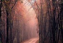 鲸鱼体育官网：姆巴佩+维尼修斯禁赛？欧足联指控皇马4球星，阿森纳欧冠4强稳了.