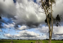 浓眉：作为球队领袖之一 只要恢复健康我就会上场.