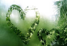 亚特兰大逆转胜返意甲榜首 罗马痛宰帕尔马.