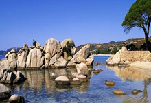 克罗地亚双子星喜忧参半，浅析国米遍地寻找的美籍球员.